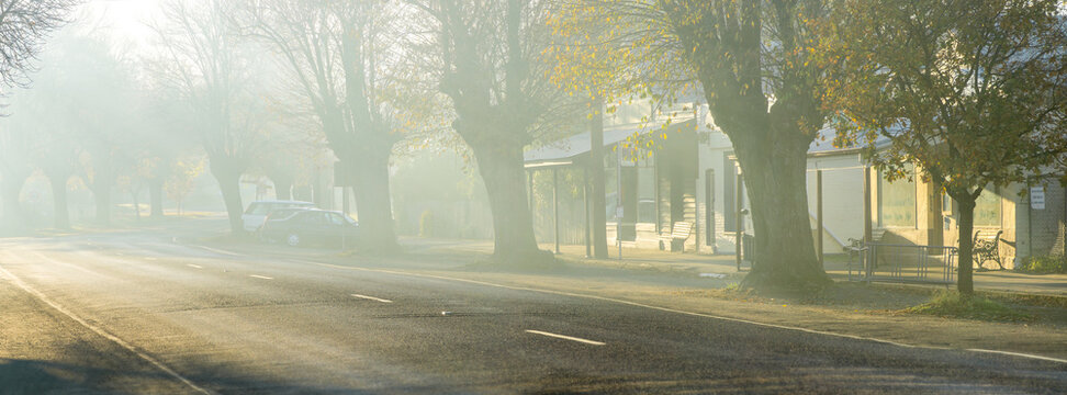 A foggy morning in the tree lined streets of a small country town