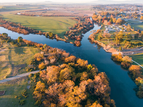 Aerial view of golden trees lining the banks of a river in Autumn