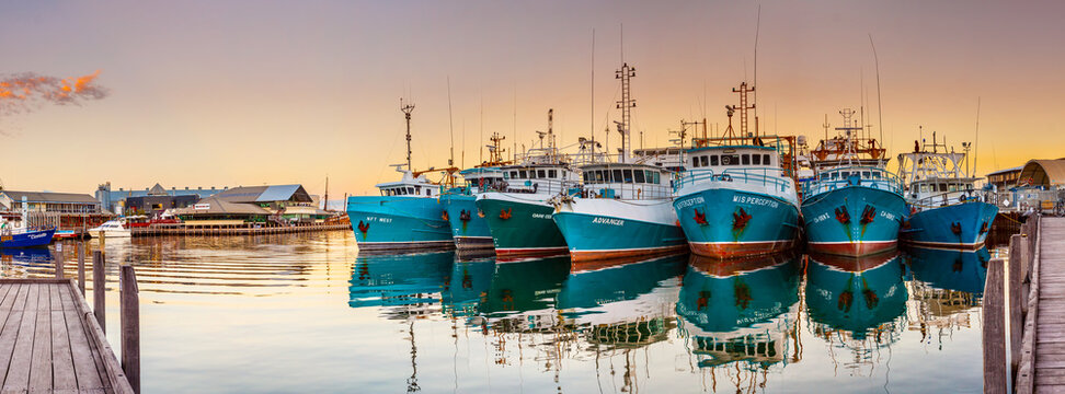 A fleet of fishing boast lined up at anchor in a marina at twilight