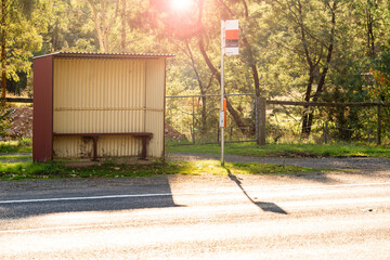 Sunlight shining through trees behind a bus shelter on a roadside