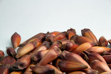 Pinhão, pinion, fruto do pinheiro, árvore brasileira Araucária, em cima de juta