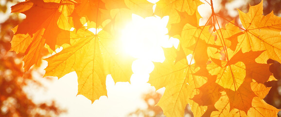 Goldener Herbst