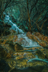 Paisaje de río en medio de un bosque