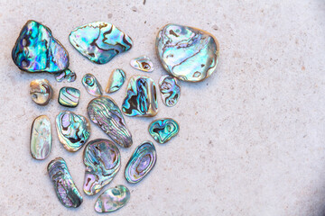Mother of pearl and abalone shell arrangement