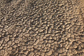 Texture of dry cracked desert. The global shortage of water on the planet. Global warming and greenhouse effect illustration