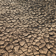 Dry cracked desert. The global shortage of water on the planet. Global warming and greenhouse effect illustration