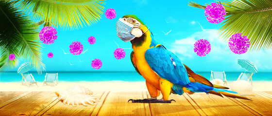 Macaw parrot with medical mask on vacation