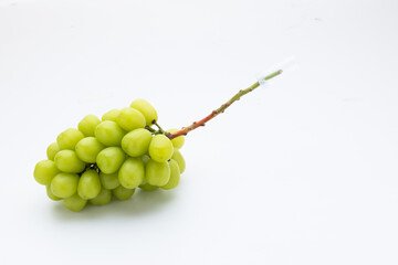 シャインマスカット