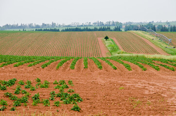 View of fields and forests