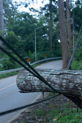 Turbulent trees, trees crushing cables