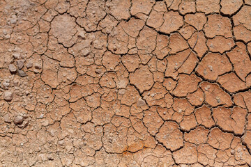 Dry and cracked mud.