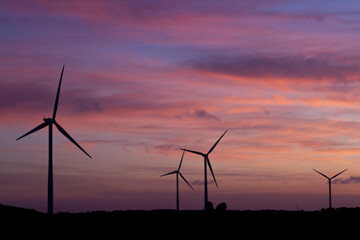 Wind turbines at sunset, Australia