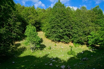Fototapeta na wymiar Montagne della Duchessa natural reserve, Monte San Rocco
