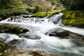 美しい水の流れ（竜頭八重滝県立自然公園・島根県）