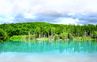 Blue Pond in Summer