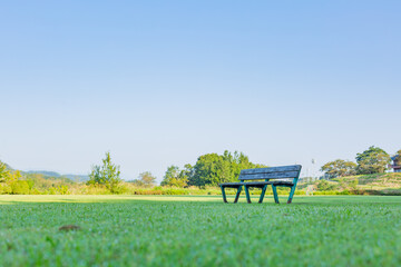 isolated empty wooden bench on green grass in the park in early morning in tokyo, japan 