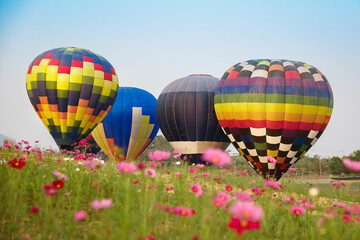 Naklejka premium Singha Park Balloon Fiesta