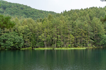 長野信州_御射鹿池