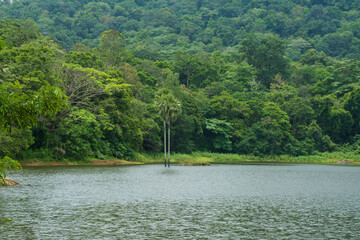Asurankund dam
