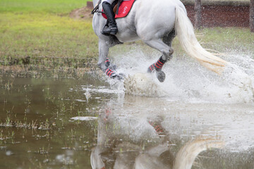 Equestrian Eventing Carolina Horse Park NC State Equine Team