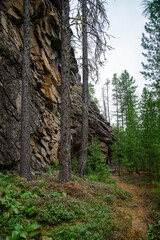 
Stone mountains. 
Stone texture. Mountain gorge. Among the huge rocky mountains there is a mountain river, the mountains are covered with fresh bright green foliage of trees in early spring.
