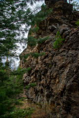 
Stone mountains. 
Stone texture. Mountain gorge. Among the huge rocky mountains there is a mountain river, the mountains are covered with fresh bright green foliage of trees in early spring.
