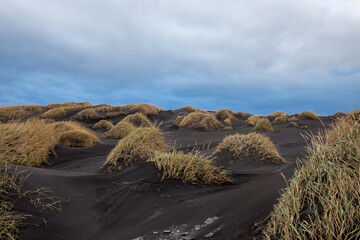 Volcanic black sand dunes of Stokksnes, Iceland