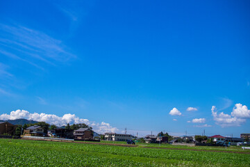Fototapeta na wymiar 滋賀県米原市の青空風景