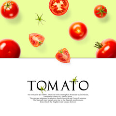 Creative layout made of tomato on the green background. Creative flat lay set of tomatoes with simple text on white background, copy space.