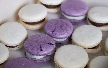 Violet and white almond and meringue macaroons on a white table topped with white and dark chocolate dulce de leche mouse and whipped cream.