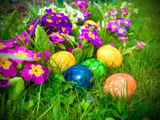 easter eggs in grass