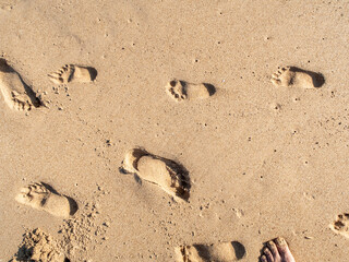 Children's footprints on a sandy beach