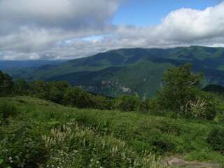 Obraz premium Exif_JPEG_PICTURE