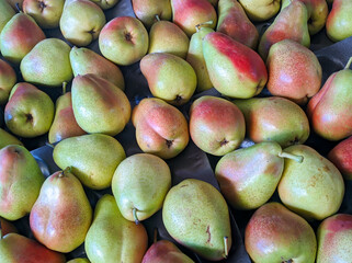 Close up view of yellow pears  in the local indian market. Delicious fruit.
