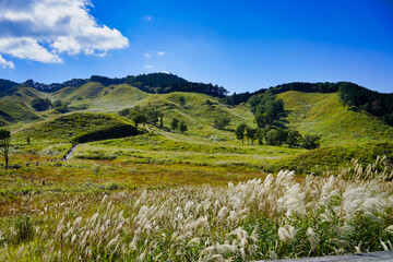 秋の砥峰高原