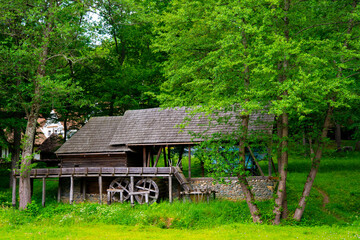 Obraz premium peasant house with thatched roof and tile built of clay and brick