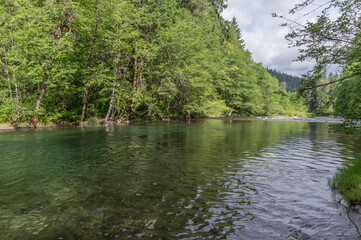 Trout Stream. Middle Fork of the Willamette River provides habitat for trout.