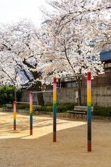 桜が満開の公園の鉄棒