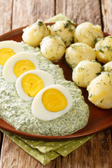 German cuisine boiled potatoes with eggs frankfurt green sauce close-up. vertical