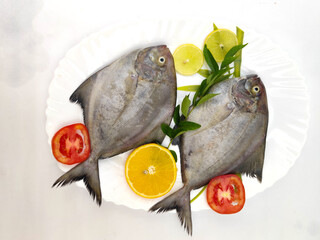 Top view of Black Pomfret Fish dish cooking with various ingredients. Fresh raw fish decorated with lemon slices and tomato slice and curry leaves on a white background.