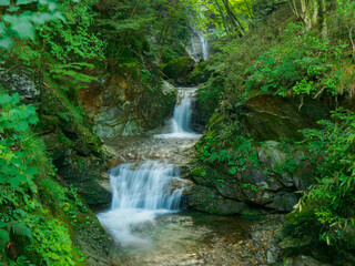 Fototapeta na wymiar Waterfalls in the forest on mountain (Tochigi, Japan)