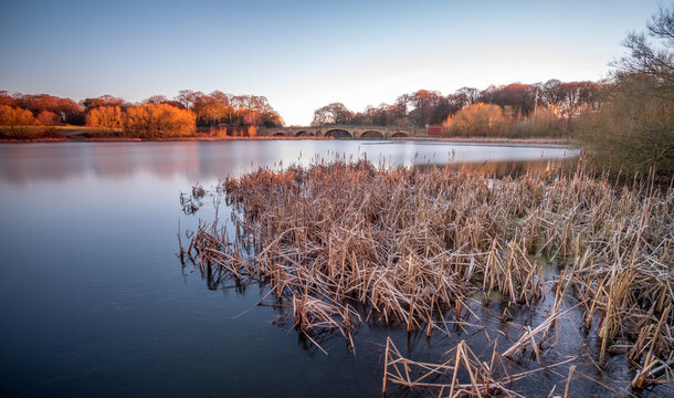 Winter Lake near Wakefield with reeds and stone bridge