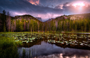 Sunset in Rocky Mountain National Park at Nymph Lake in the summertime. There are lily-pads in the water and a forest in the background.