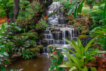 Waterfalls and forests at Tham Pha Daen Temple, Sakon Nakhon Province,Thailand.