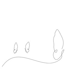 Butterfly fly line drawing, vector illustration