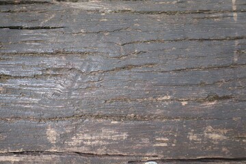 old wood texture
