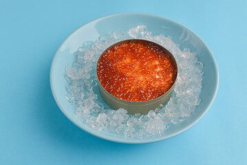 Tiramisu dessert in a plate with ice. Delicious Italian dessert served over bright pastel blue background.