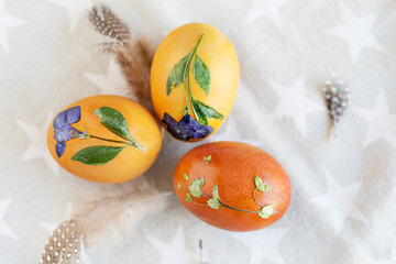 Elevated view of decorated Easter eggs 