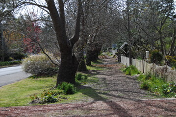 The Wentworth Falls town street in the Blue Mountains national park, Australia