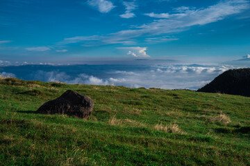 Obraz premium 青空の高原